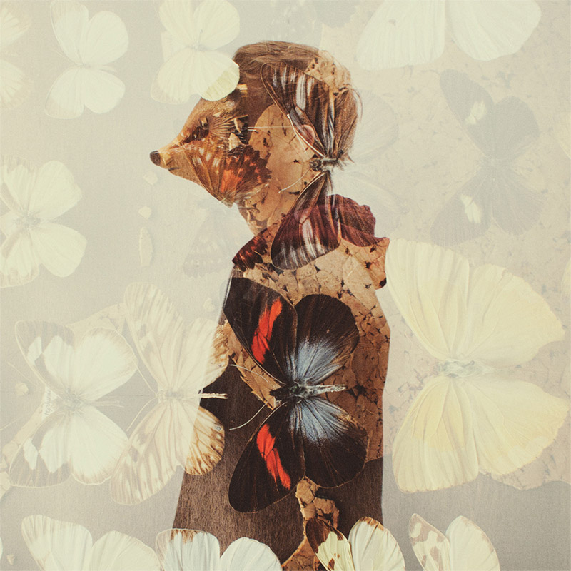 Double Exposure Effect Inspiration