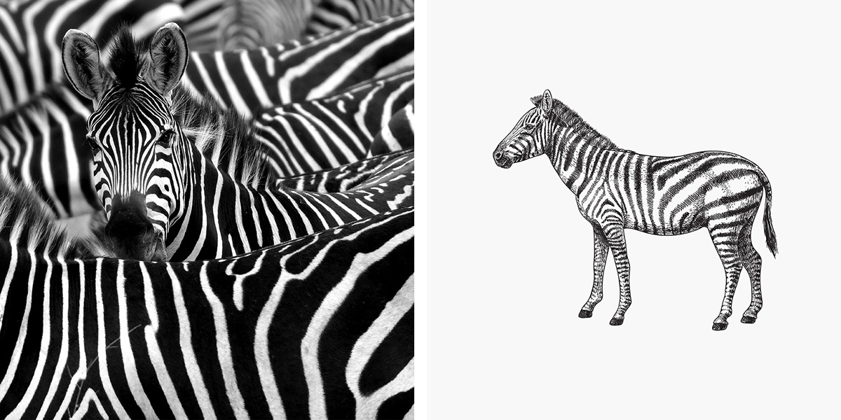 Coffee Packaging Design - Caf&eacute; Prado 02