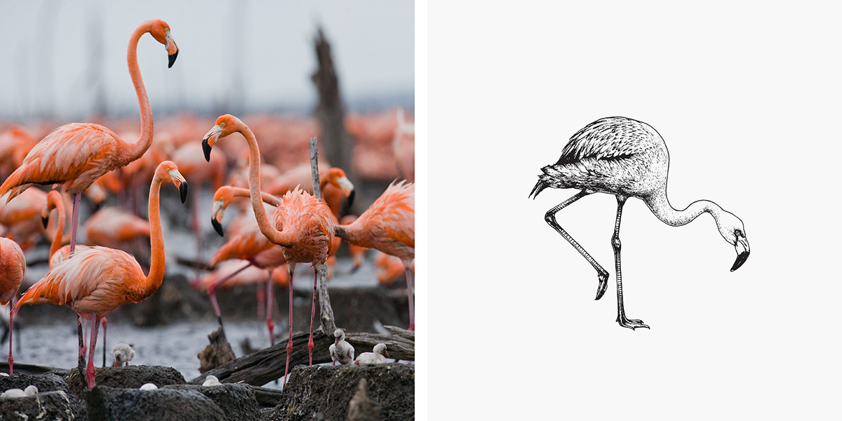 Coffee Packaging Design - Caf&eacute; Prado 04